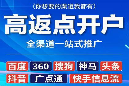 行业领先企业的SEM广告策略与效果分析